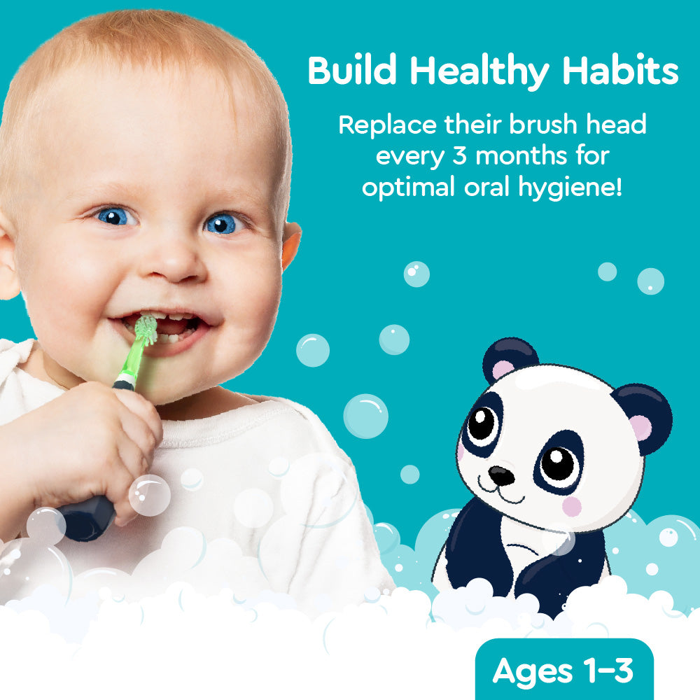 Little Brusheez® Toddlers’ 2-Pack Replacement Brush Heads - Parker the Panda