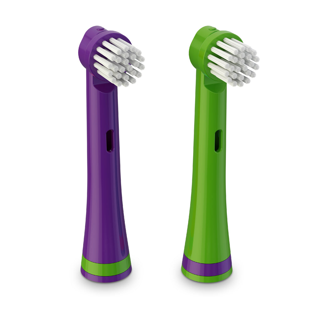 Brusheez Replacement Brush Heads 2 Pack - Snappy the Croc